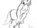 s_wuffie01.jpg